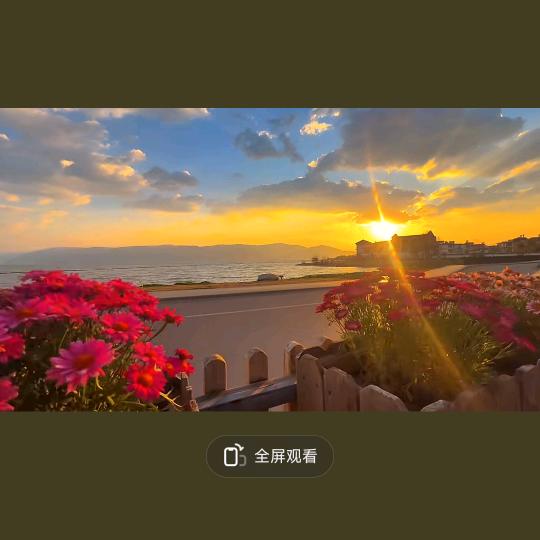 森森茂林