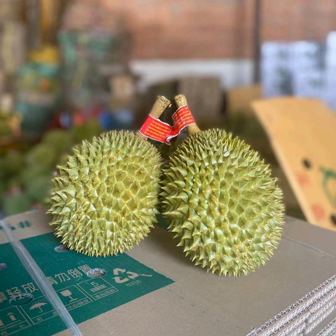 小鑫应季鲜果