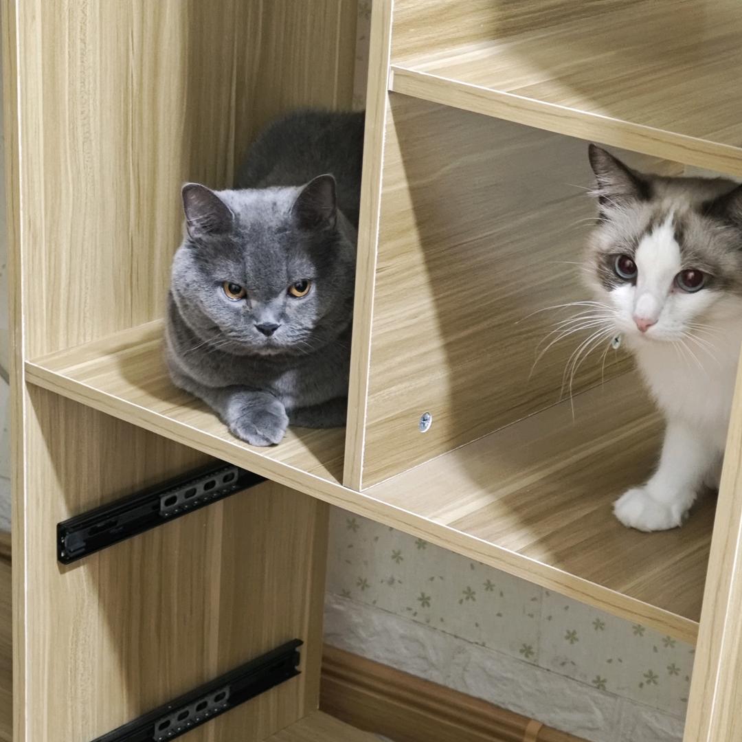 🌈守旺者日富一日