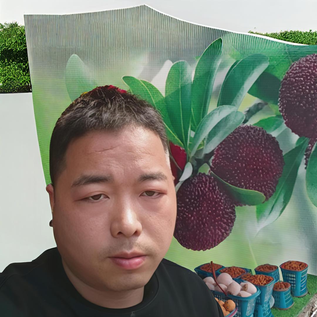 啊海哥杨梅