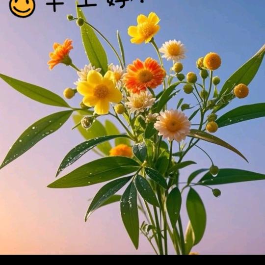 处对象。