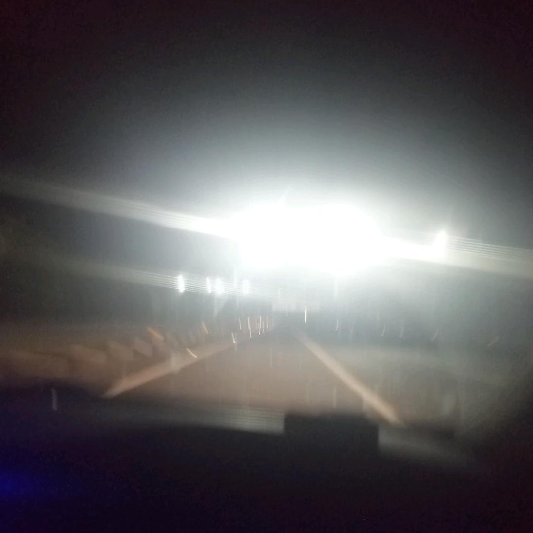 孤独寂寞冷