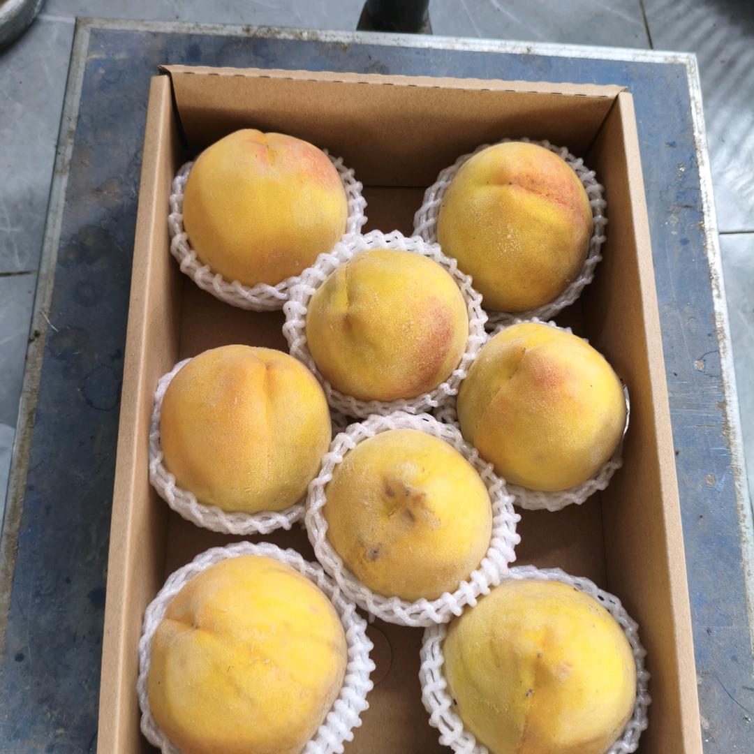 句容市郭庄镇黑哥家庭农场