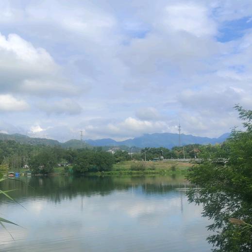 电喷 油泵油嘴 尿素泵 后处理维修