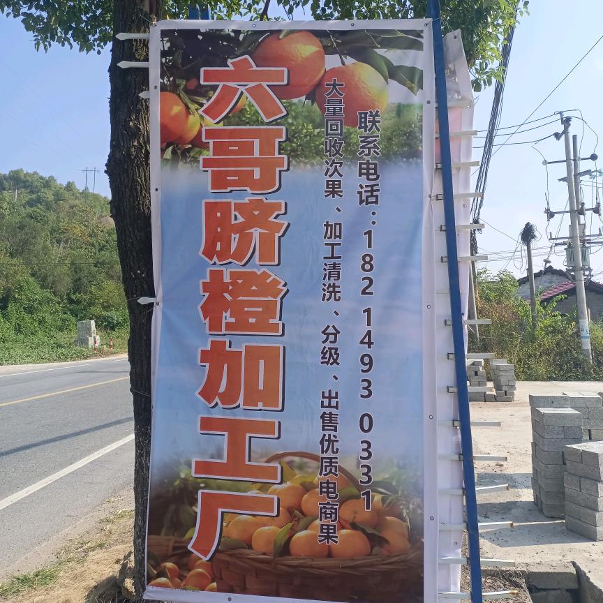 六哥