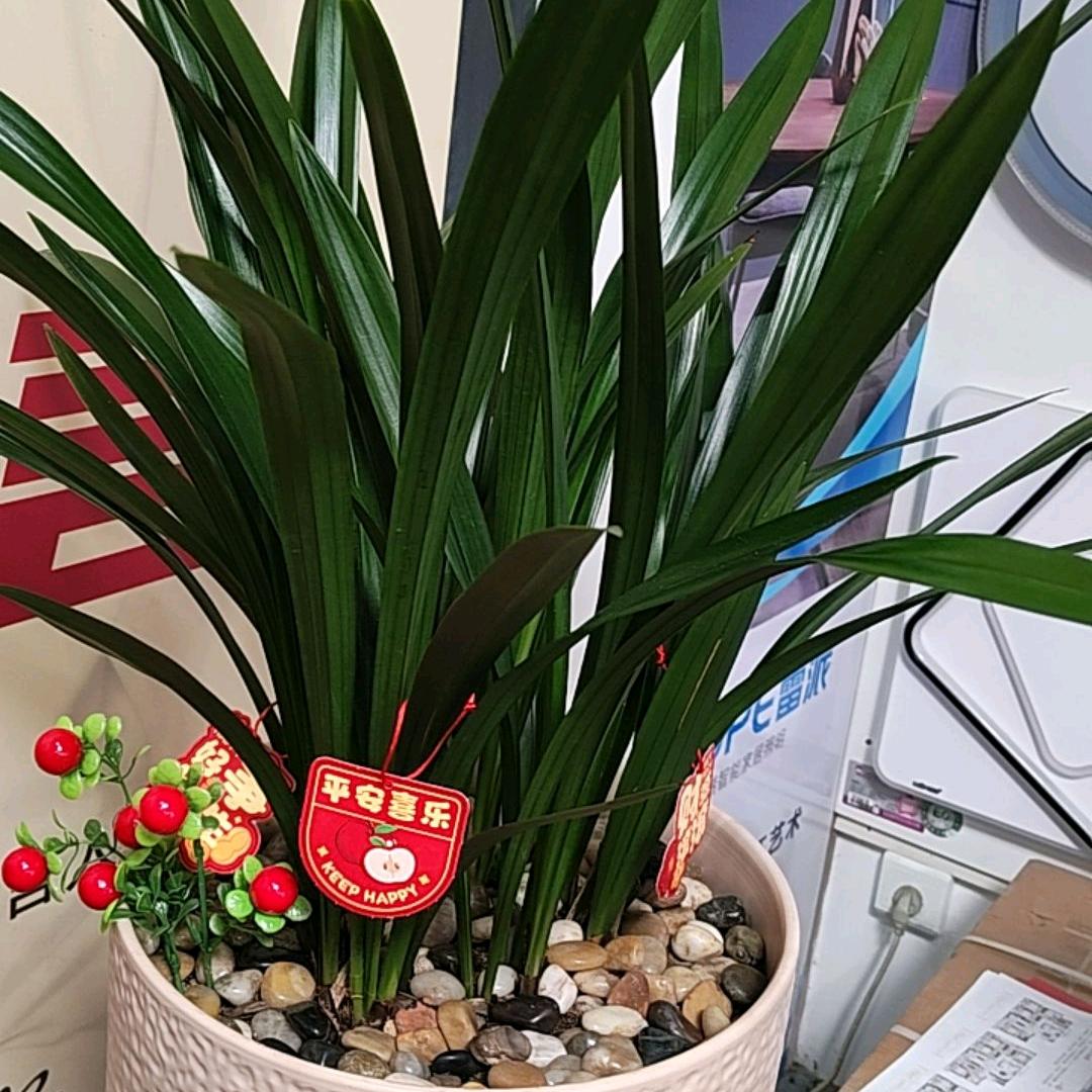 定南卖厨电  灯饰小钟