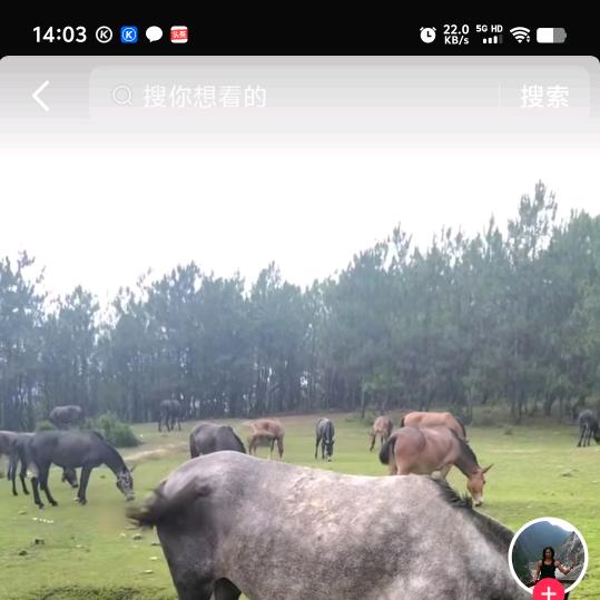 快乐宝贝