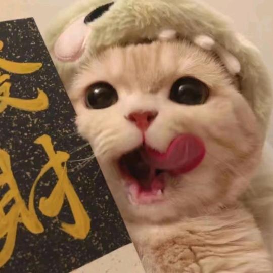 黑乎乎