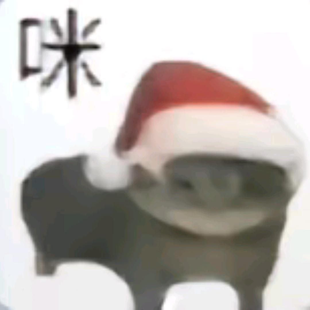 梧桐树下.