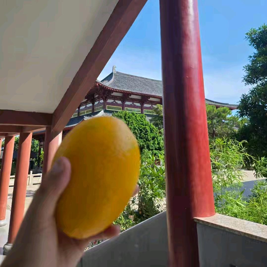 白桃乌龙组合