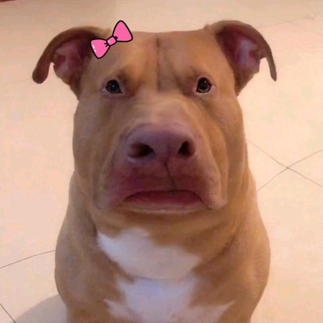 不正经的﹏woman🌴