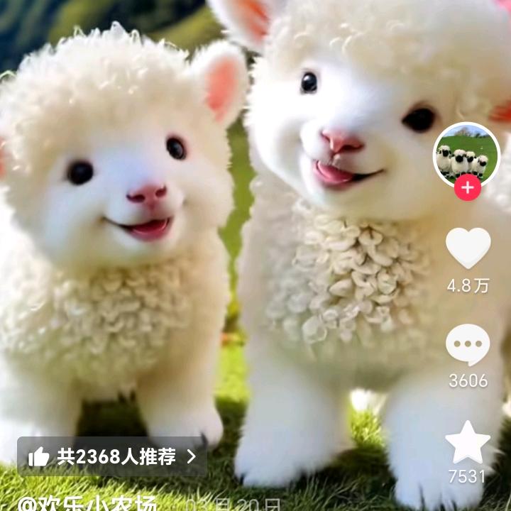 顺其自然，自由自在