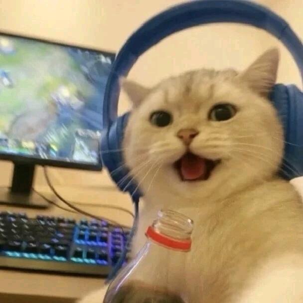 她的鼻子五万块