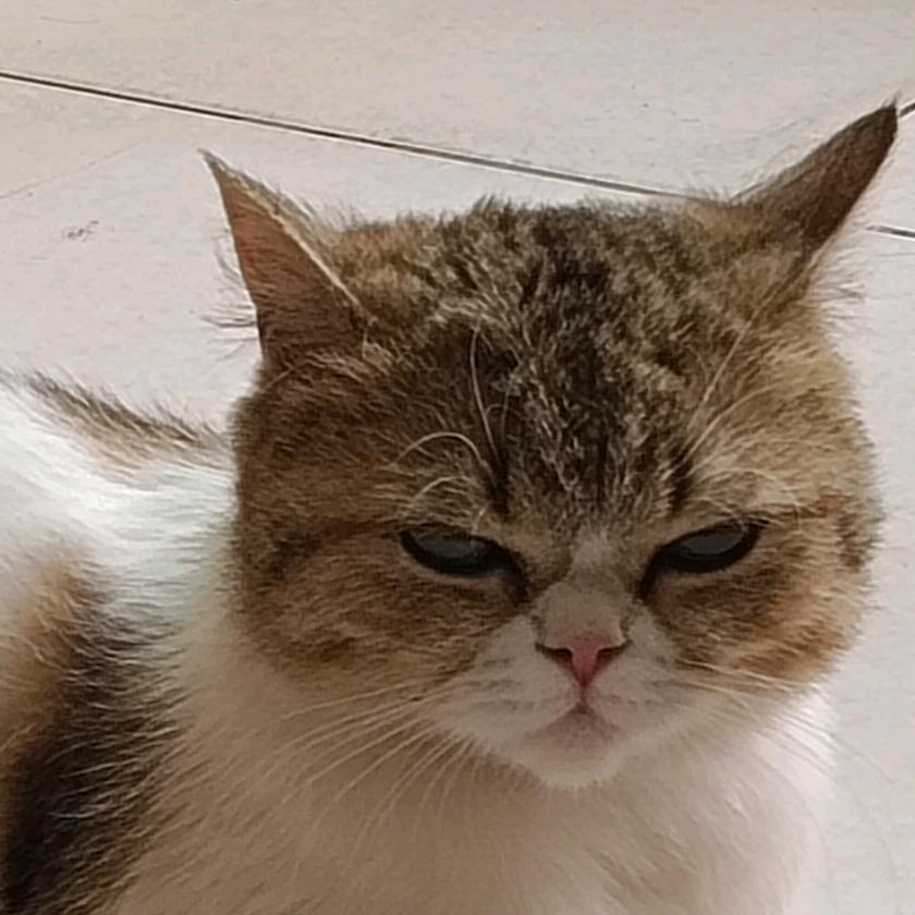 跑刀九格60r1000w