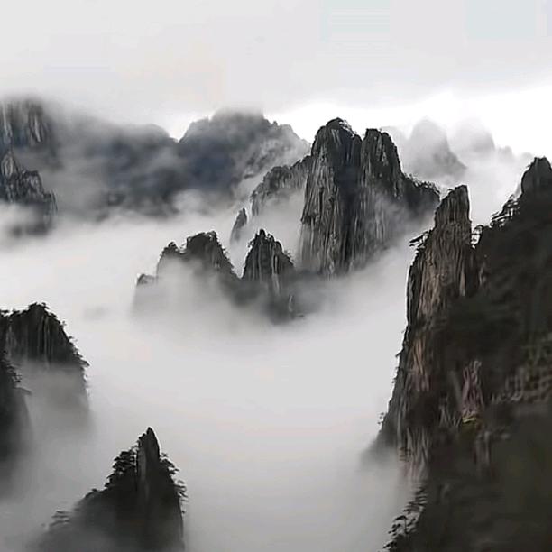 鹊隐山中