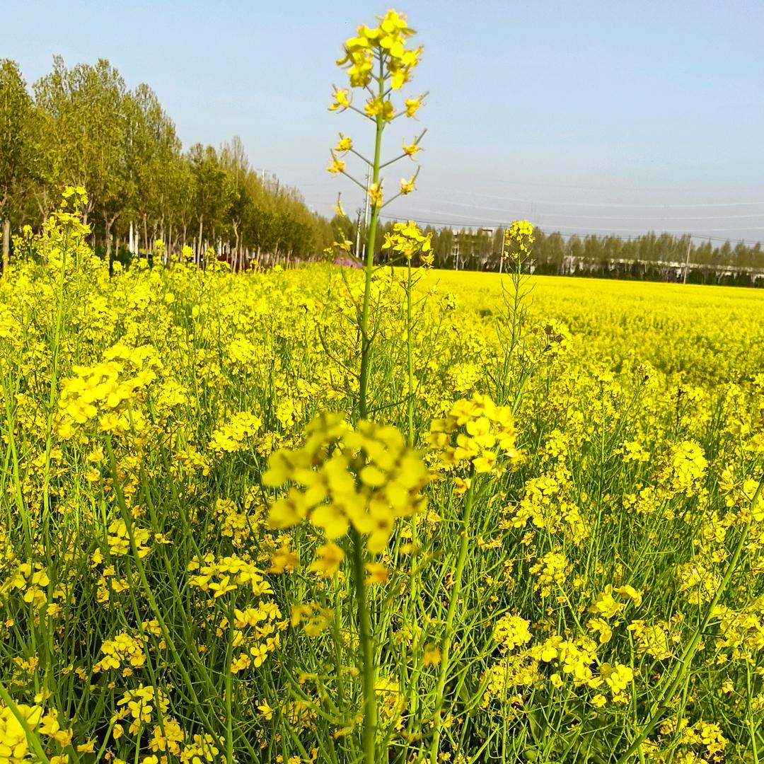 阿豫娟子：汇生活🍀🍀