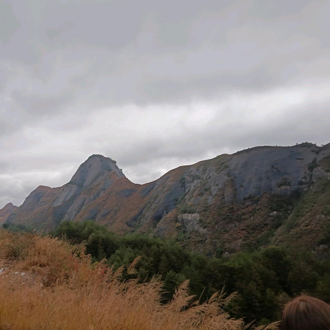 TAi