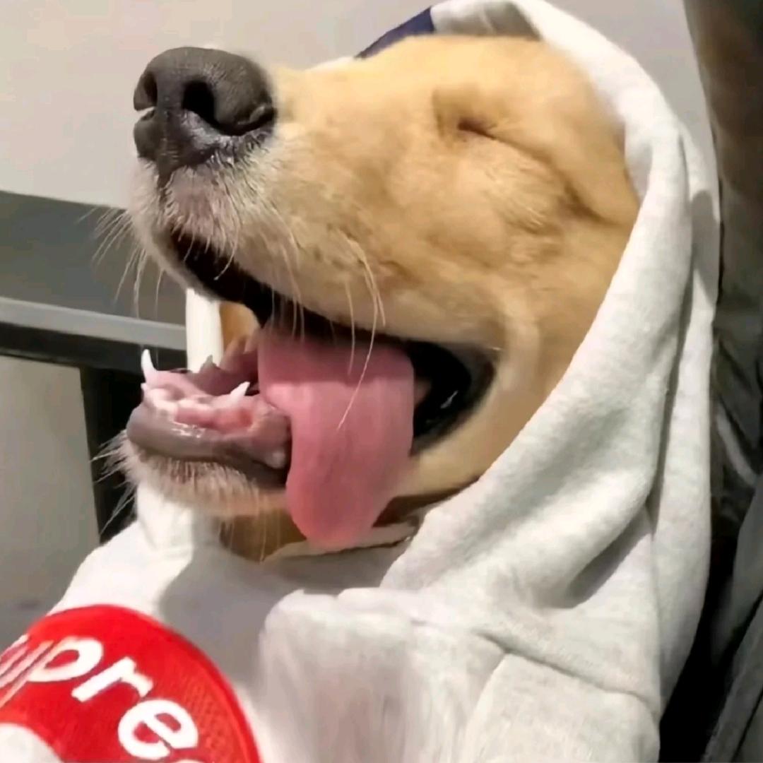 阔落要加冰
