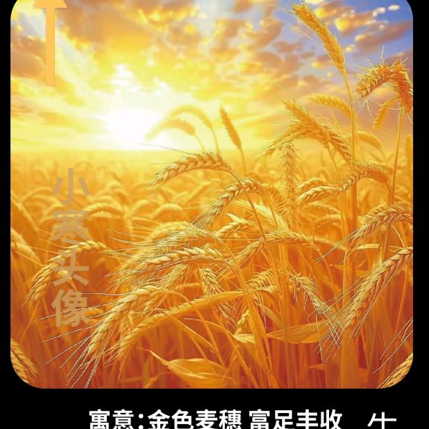 简单大叔
