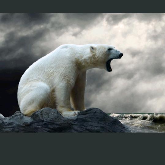 北极熊不锈钢作坊