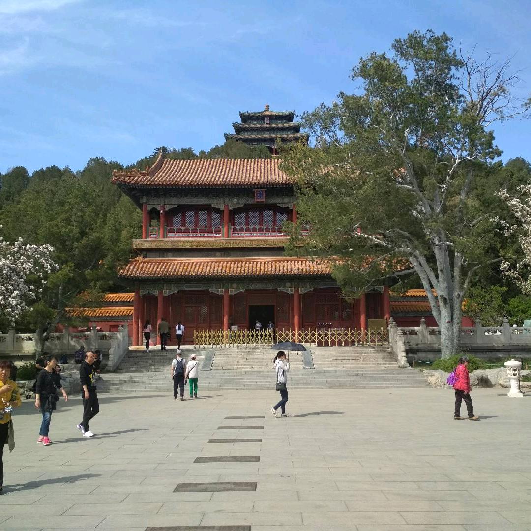 孙大利