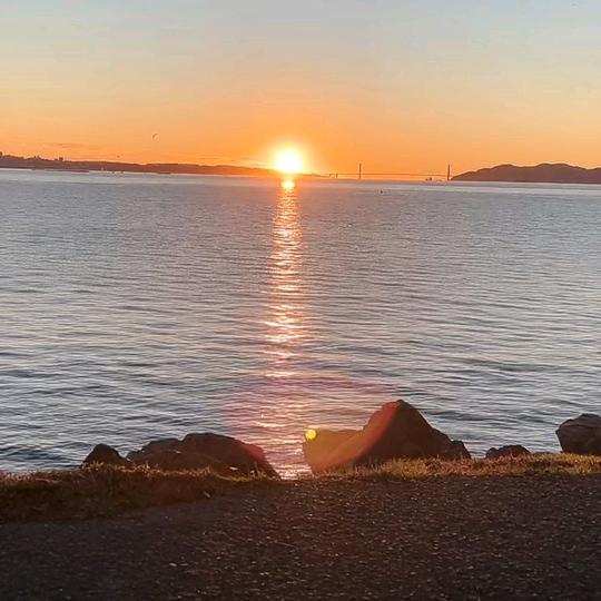 野菊花（不辣不咸不甜不冰不激素）2