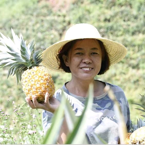 景谷施姐食品严选小铺