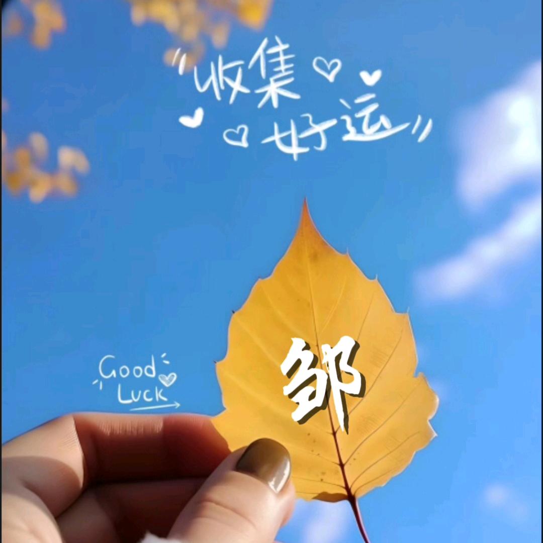 小邹