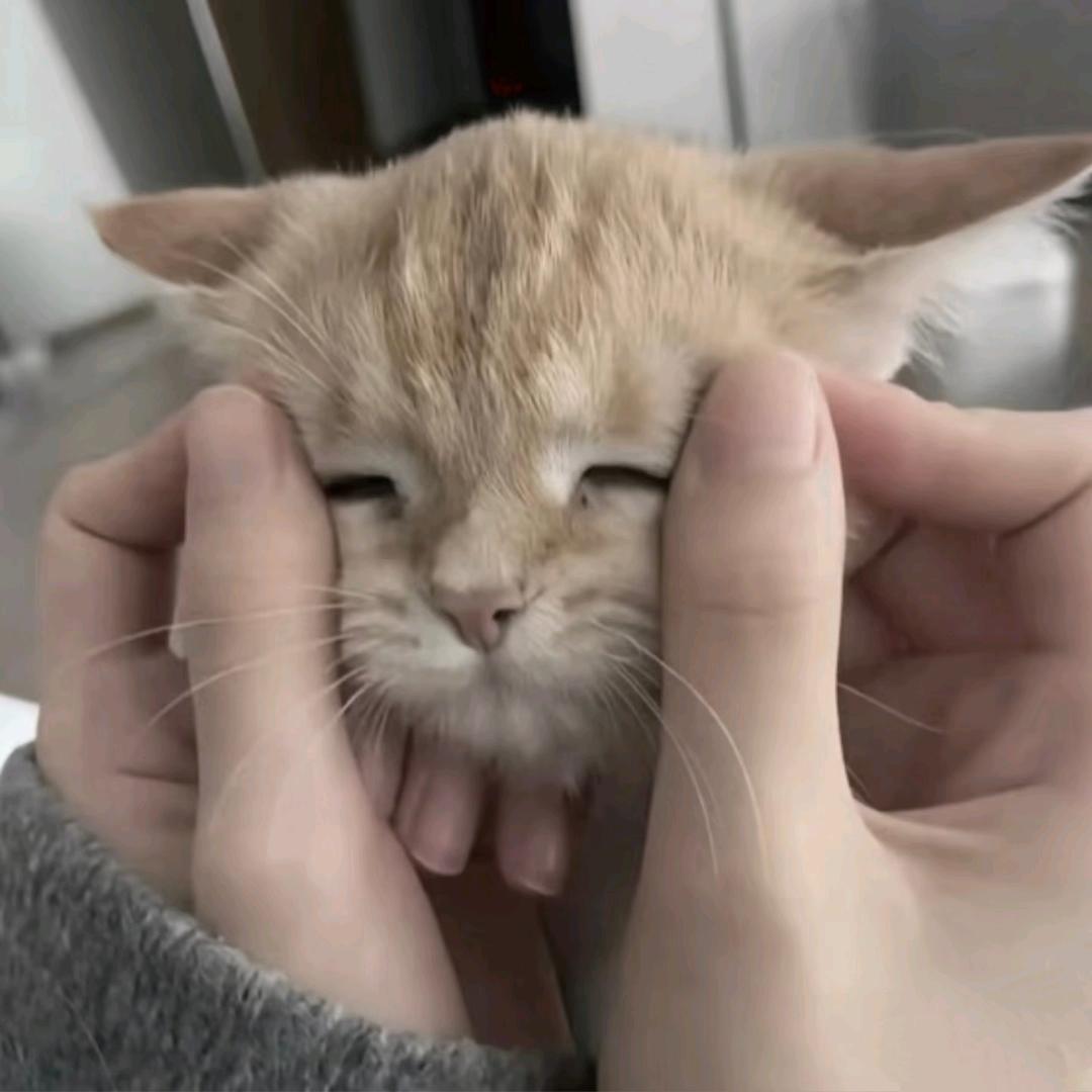 蛋挞大王（签的慢