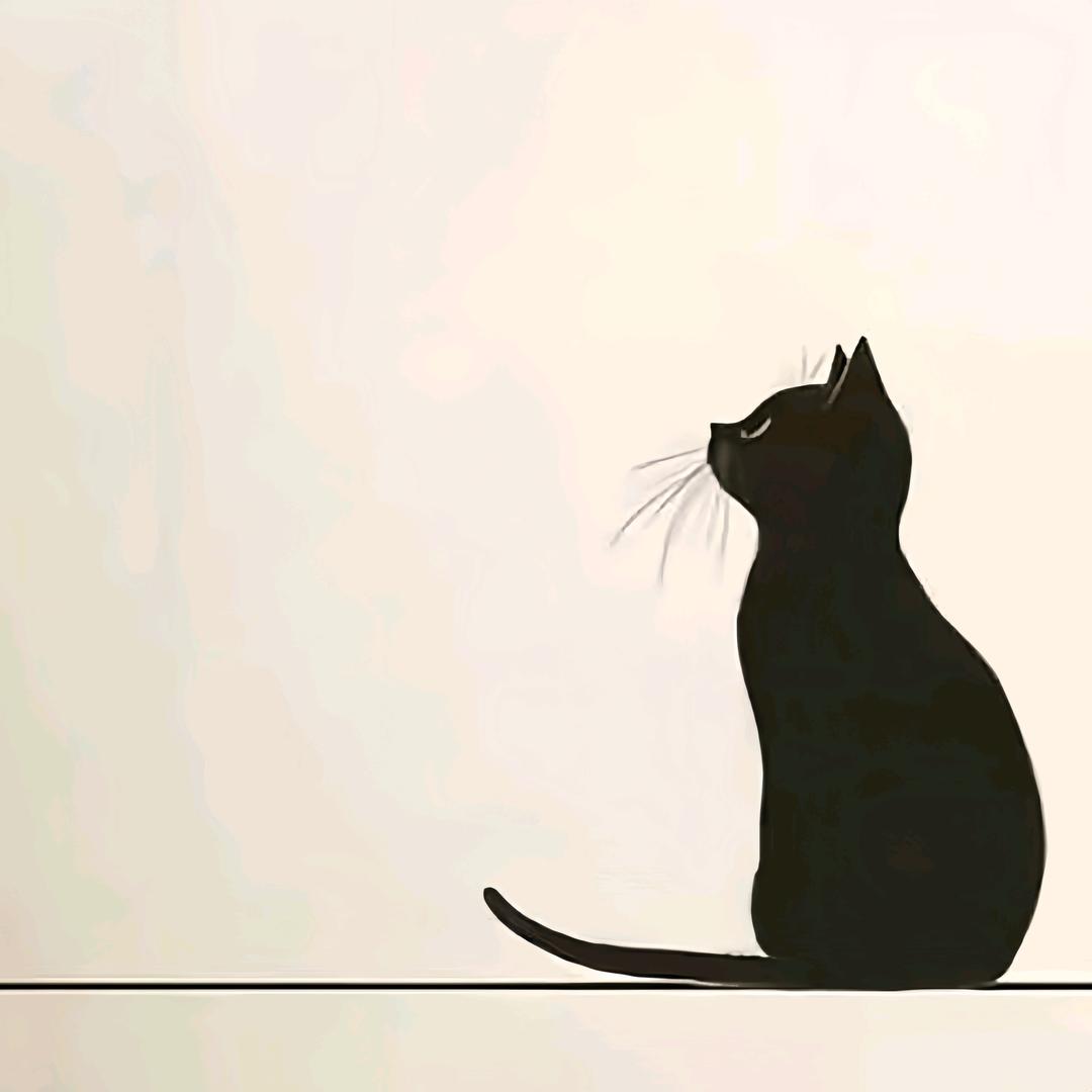 一只布偶