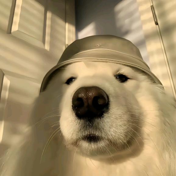 ^O^手机不好玩^O^