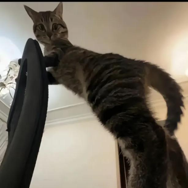 吃提子吐葡萄皮