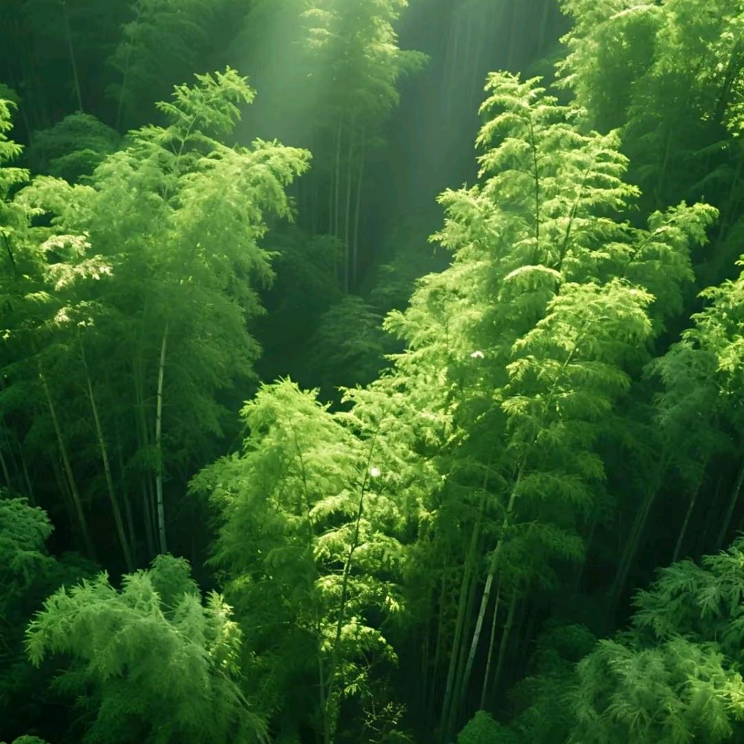葱油鱼走葱