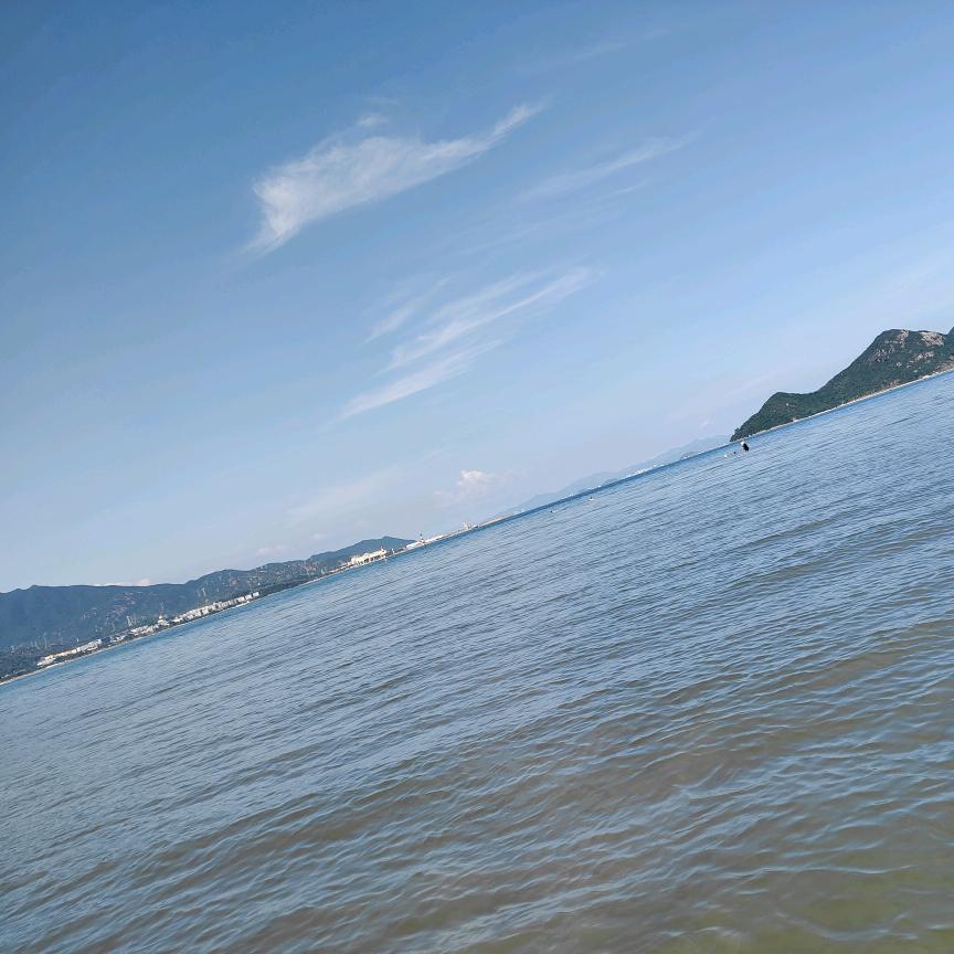 毒
