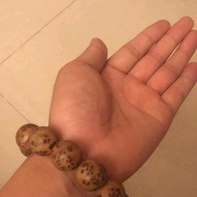 归途