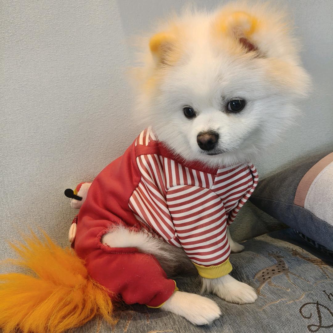 不要拿别人的思维，来衡量自己，