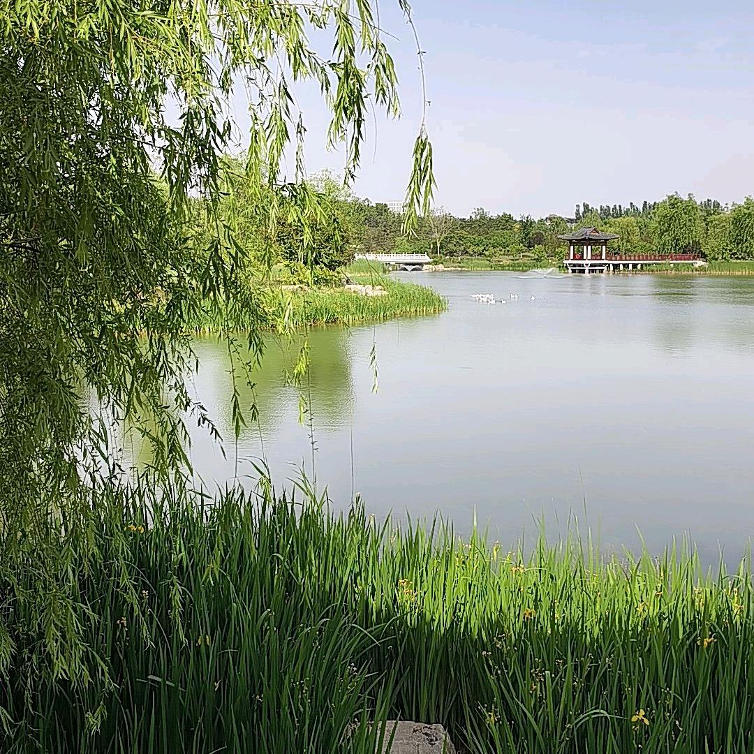 (ლ(´ ❥ 王`ლ)