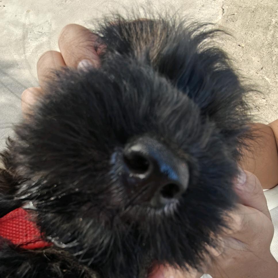 俊少