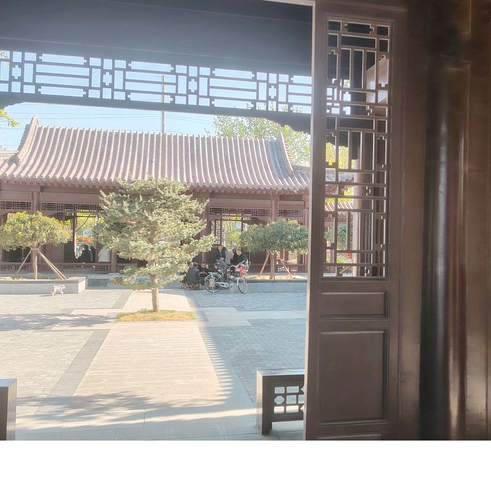道法自然