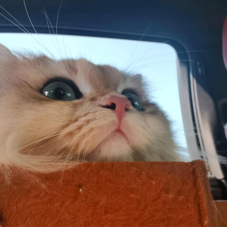 百万销量爆款精选