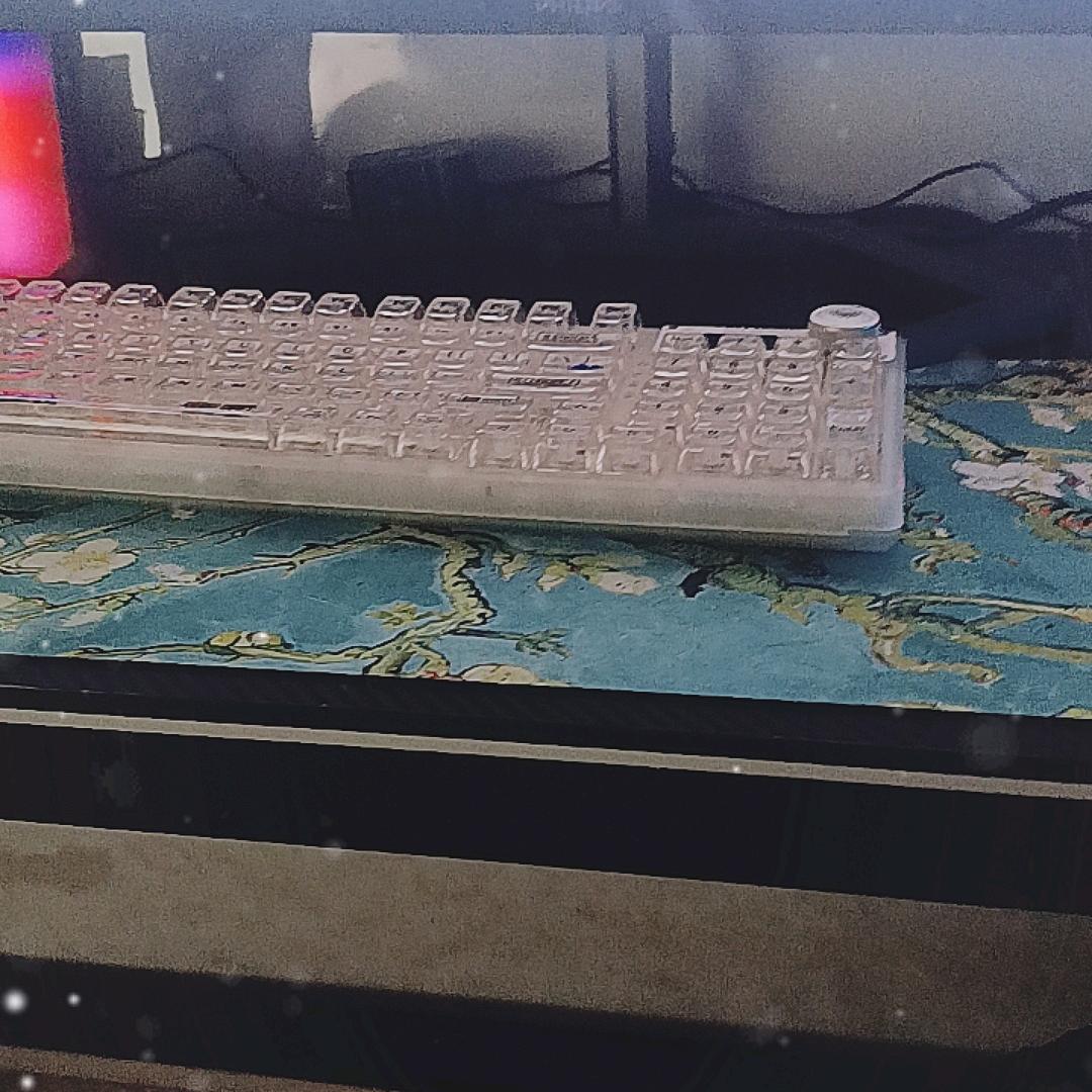 竹笋