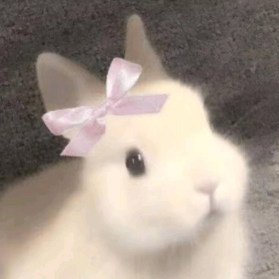 蜗牛笔端的絮语