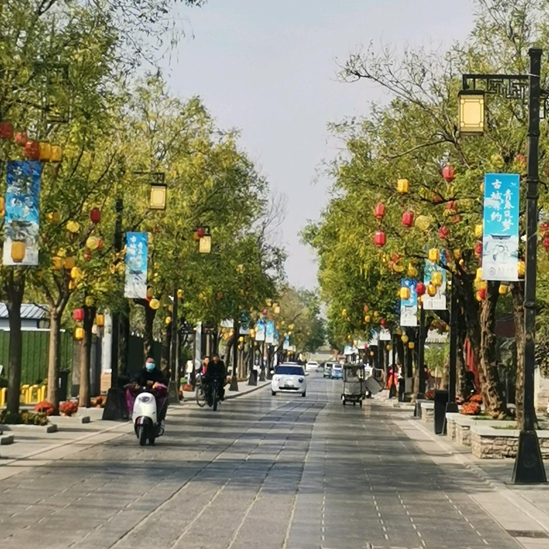丽丽