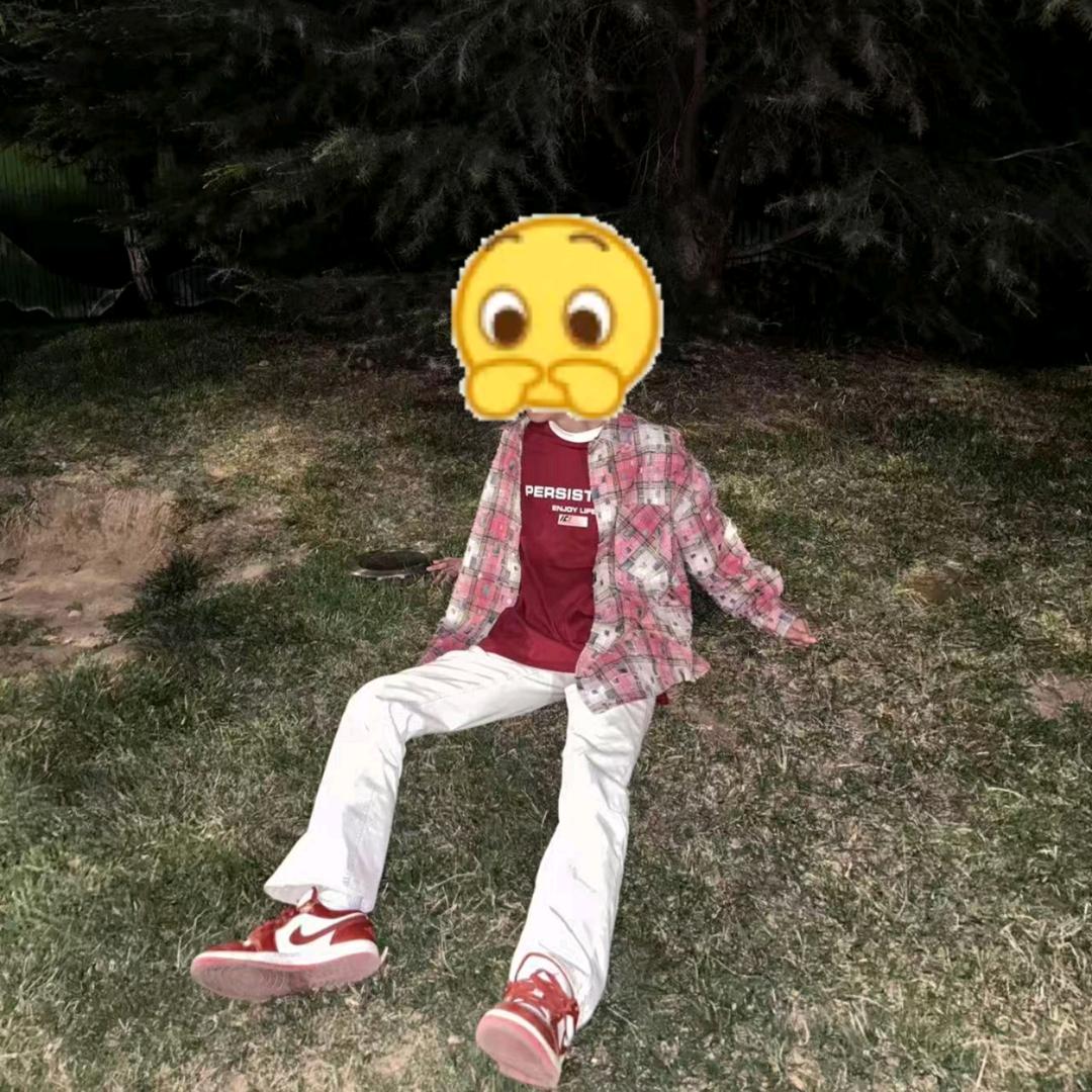 40754493865