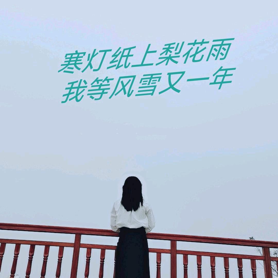兮兮