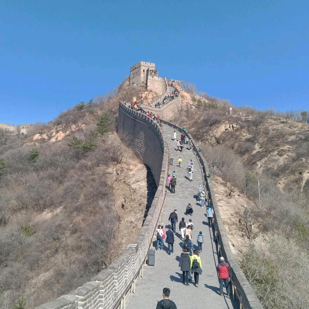 醒目苦瓜