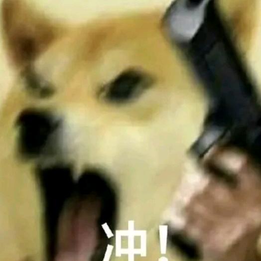 耿十一