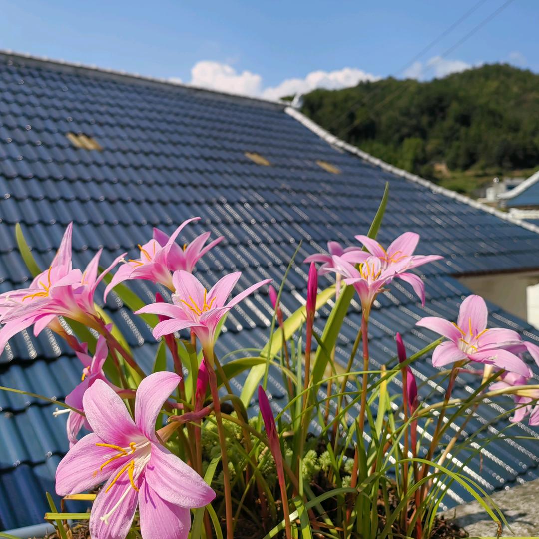 Sandy（分享治疗过程 脊柱骨折康复中