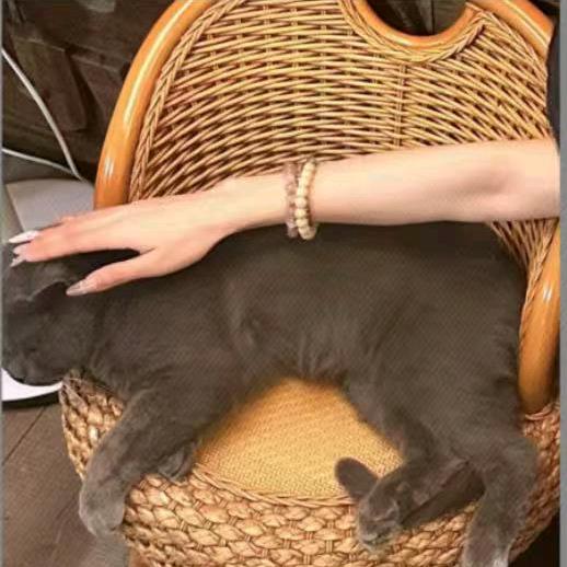 守护者