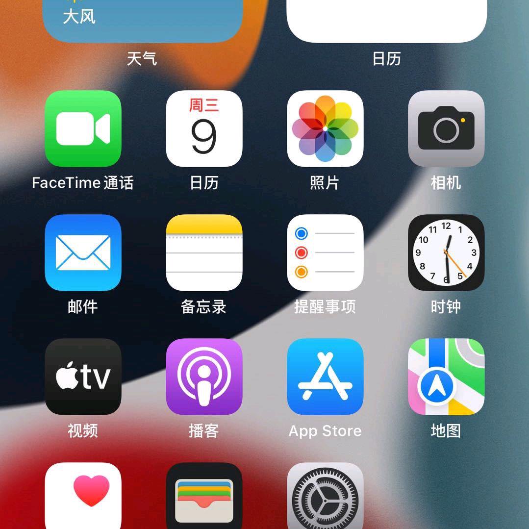 王鑫鑫